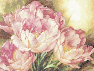 roze Tulpen roze Tulpen