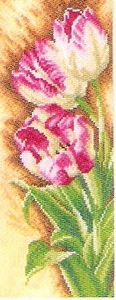 Tulpen Tulpen