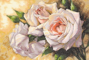 witte rozen witte rozen