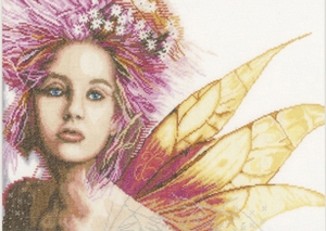 Fairy Fairy