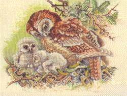 Uil met kleintjes Uil met kleintjes