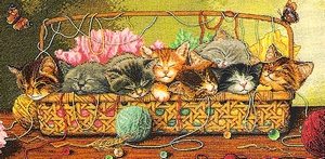 Acht katjes in een nestje