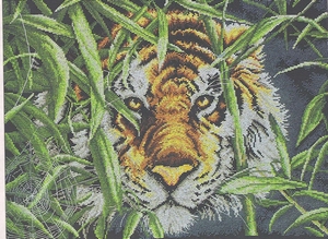 Tijger met spinneweb Tijger met spinneweb