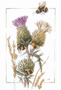 Distel met bijen Distel met bijen