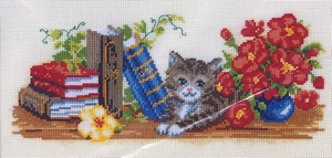 Poes op de boekenplank Poes op de boekenplank