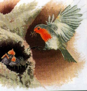 Roodborstje met nest