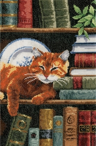 Boekenrek met kat