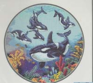 Orka's Orka's