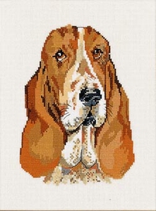 Basset Basset